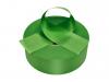 Сатиновая цветная лента стандарт папоротник-зеленая - купить